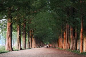 バツイチ子連れ再婚に関する相談はどこでできる？