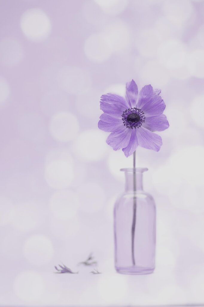 40代の監護権とはなにかを詳しく解説しますか？