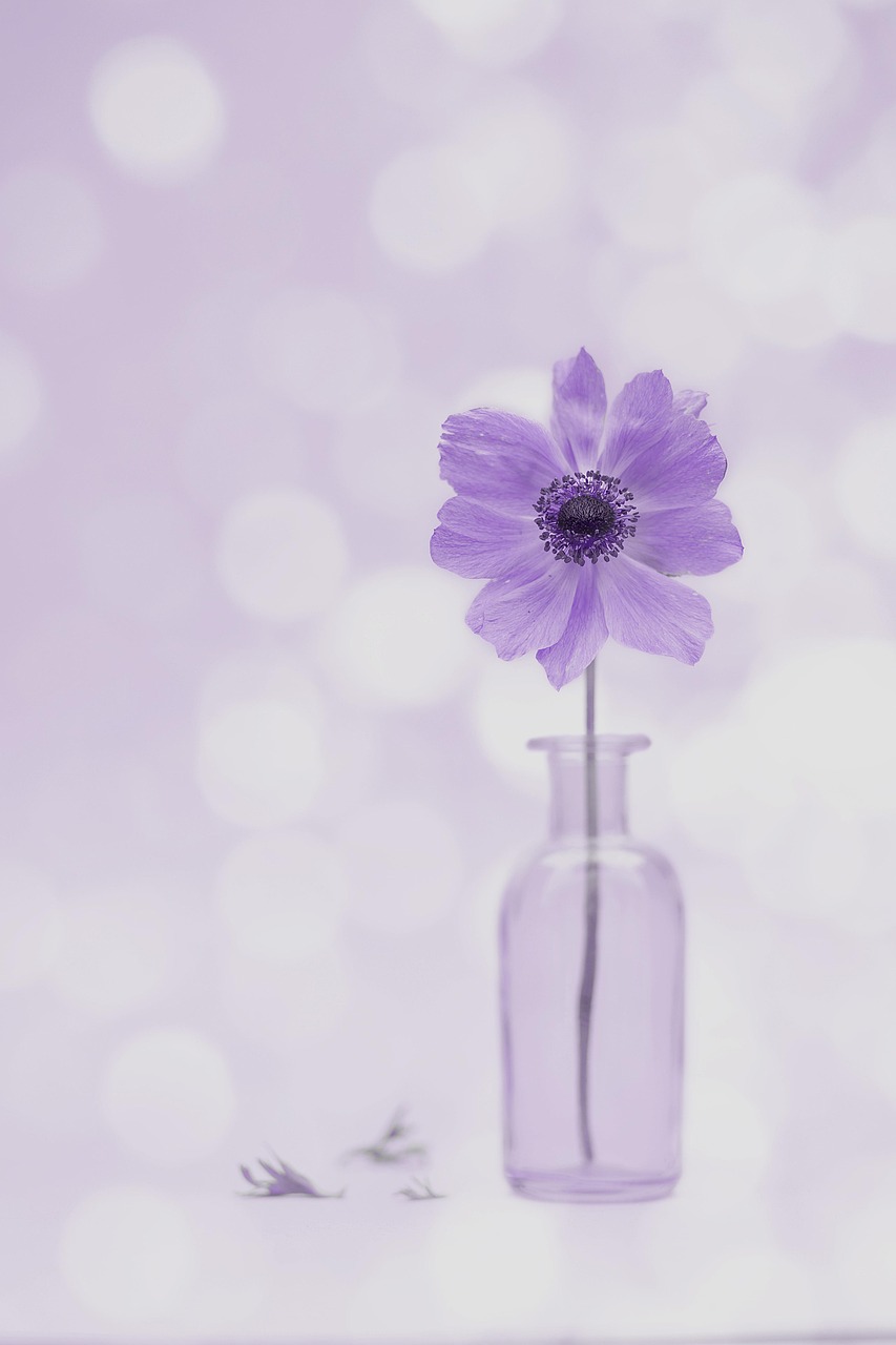 40代の監護権とはなにかを詳しく解説しますか？