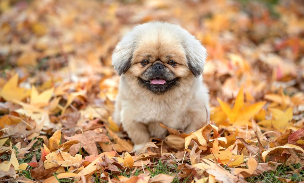 40代が慰謝料をどこまで請求できるのか解説しますか？