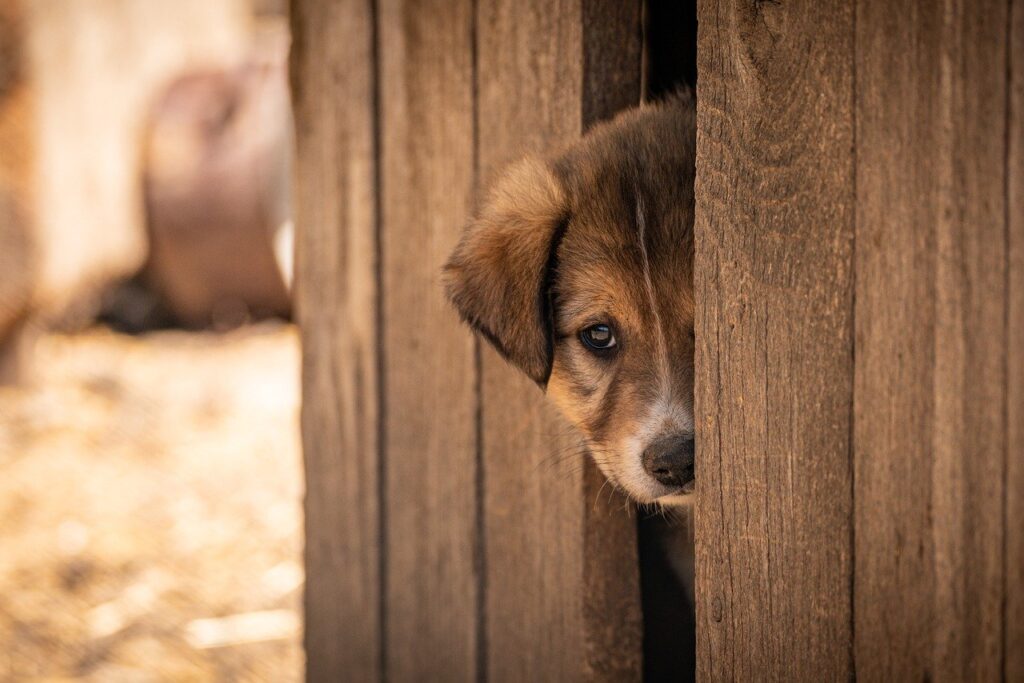 40代の離婚を一人で抱えないためのサポート方法は？